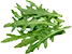 Rúcula
